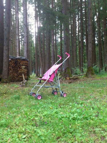 Kinderwagen_©susannegurschler